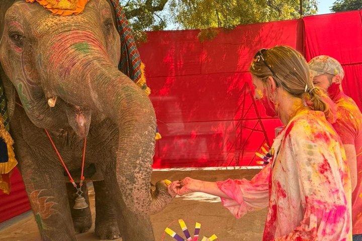 ディギ宮殿ジャイプールでのホリ祭祝賀