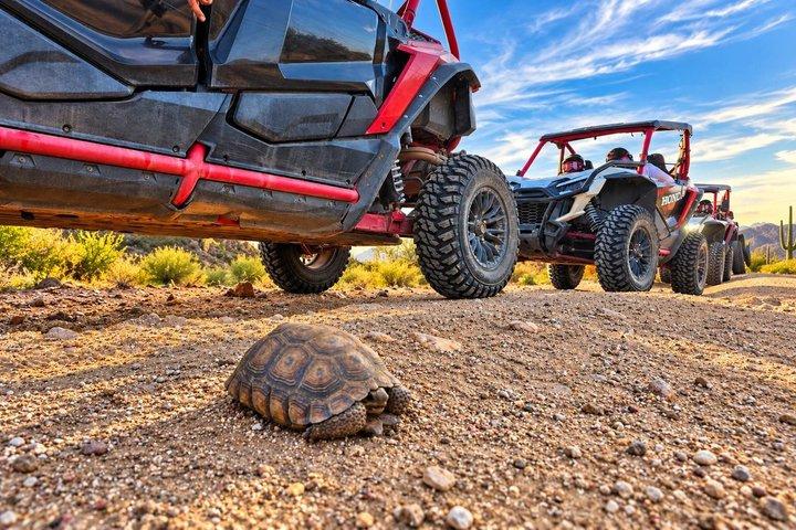Desert Off-Road UTV Tour, 2 hours, 2 people per vehicle