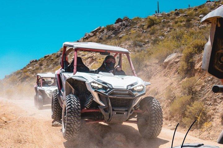 砂漠オフロードUTVツアー、2時間、車両あたり2名様