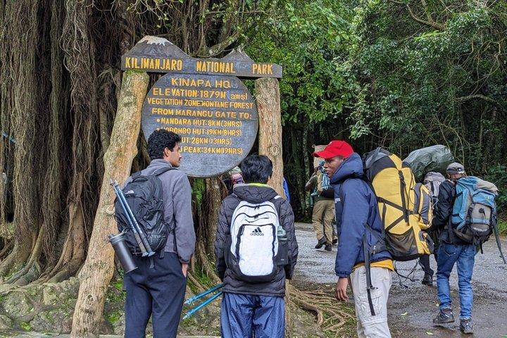 Caminhada de um dia no Monte Kilimanjaro