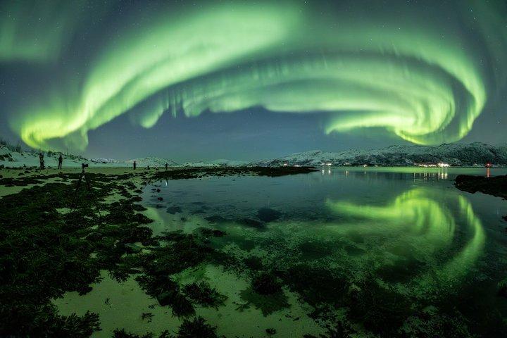 Nordlyseventyr med grønlænder, 8 personer max
