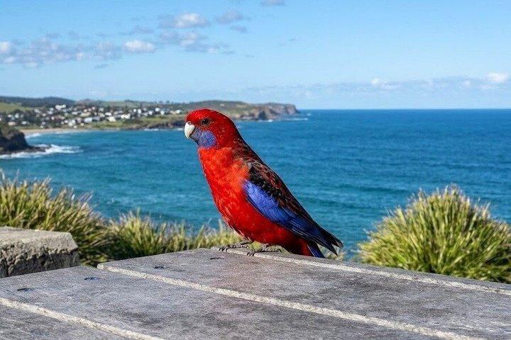 Secret Sydney Scenic Drive