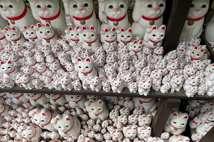 ガイド付きの家族向け東京ツアー 8時間