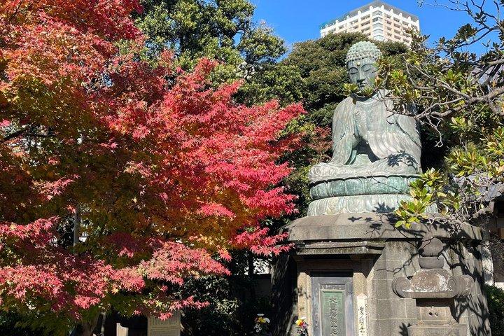 ガイド付きの家族向け東京ツアー 8時間