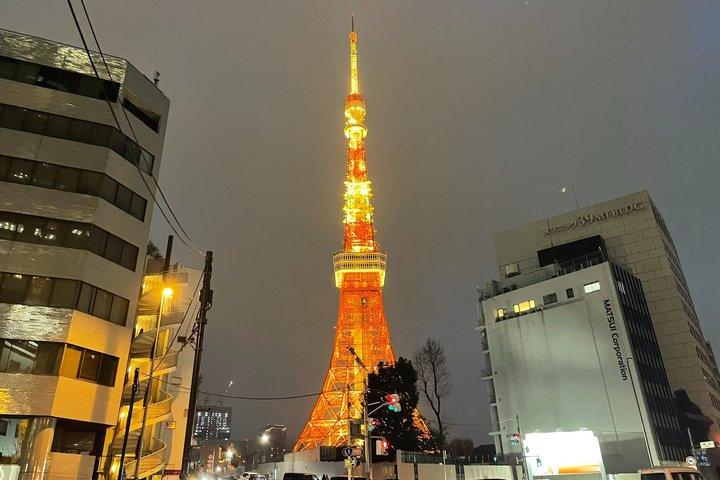 ガイド付きの家族向け東京ツアー 8時間