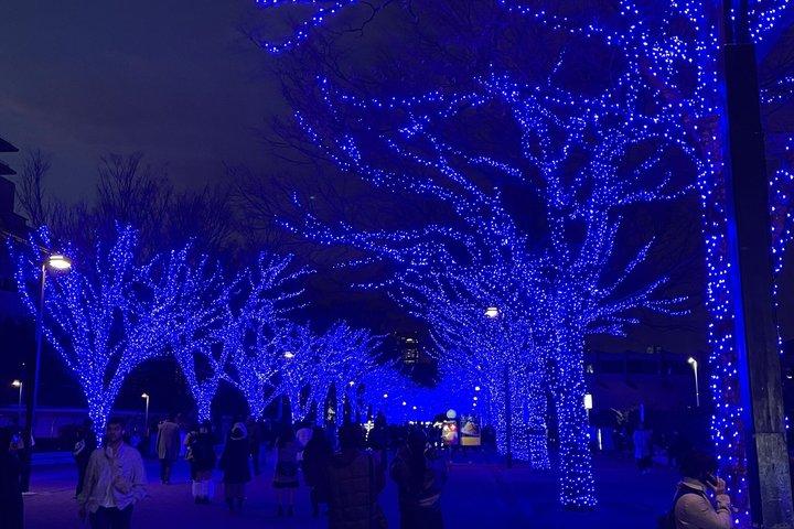 ガイド付きの家族向け東京ツアー 8時間