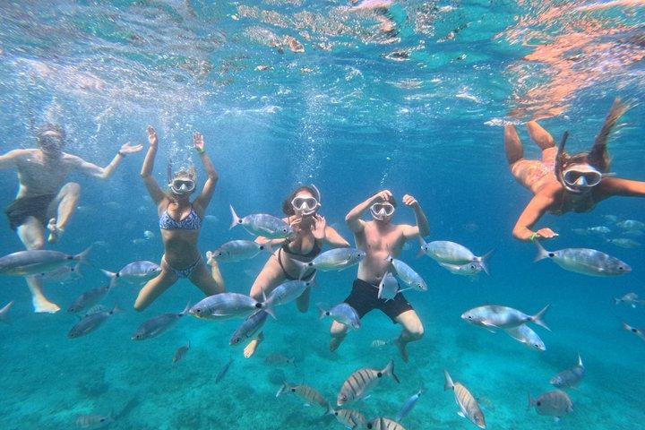 Private Catamaran trips to Lobos Island in Lagoon 400