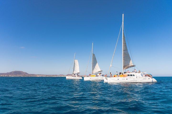 Private Catamaran trips to Lobos Island in Lagoon 400