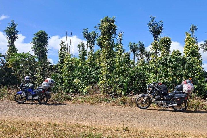 本格的なプライベートダラットカントリーサイドバイクアドベンチャー