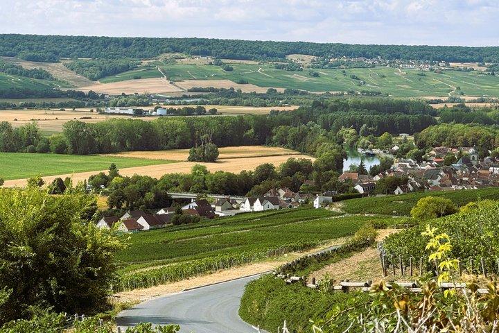 Champagne Small Group Tour 2 Wineries Épernay and Hautvillers