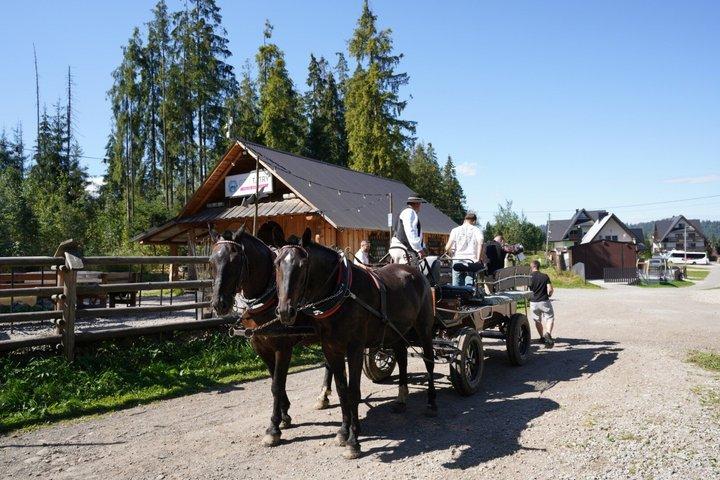 クラクフのスカイウォーク・サーマルバスと馬車