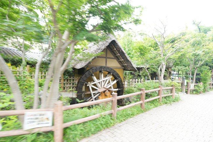 東京神田井大寺と植物園プライベートツアー