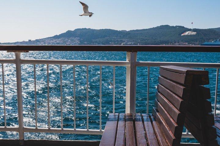 Troy Full-Day Tour from Istanbul with Lunch and Guided Visit