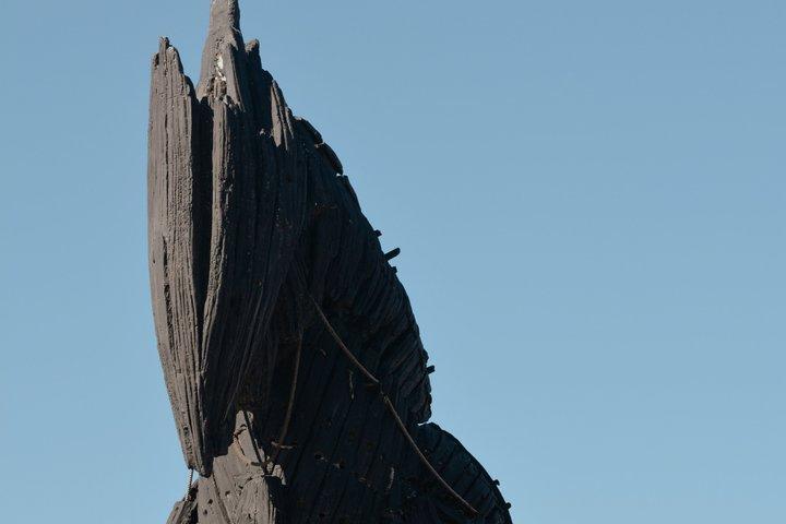 Troy Full-Day Tour from Istanbul with Lunch and Guided Visit