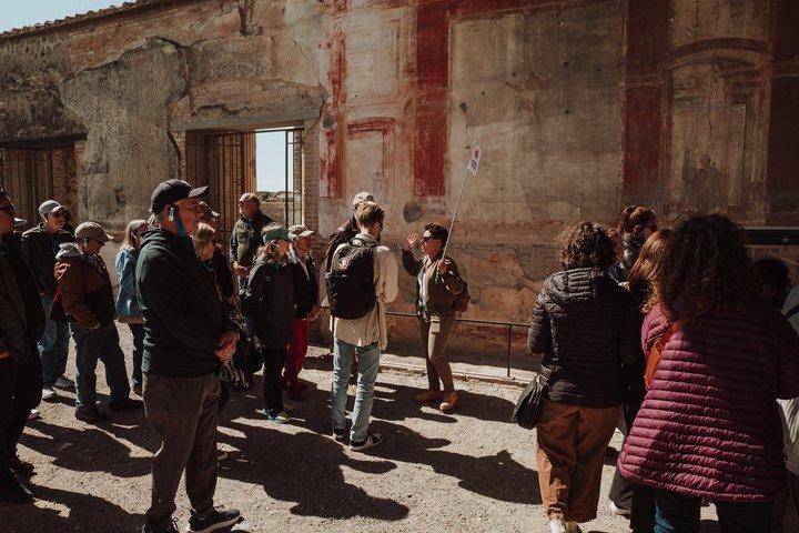 Pompeii Guided Tour with Tasting Experience inside the Ruins