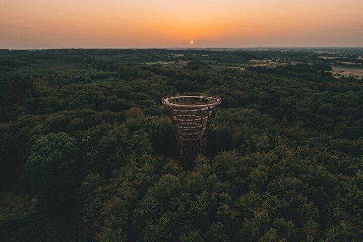フォレストタワーと忘れられた巨人たち - コペンハーゲンからの日帰りツアー