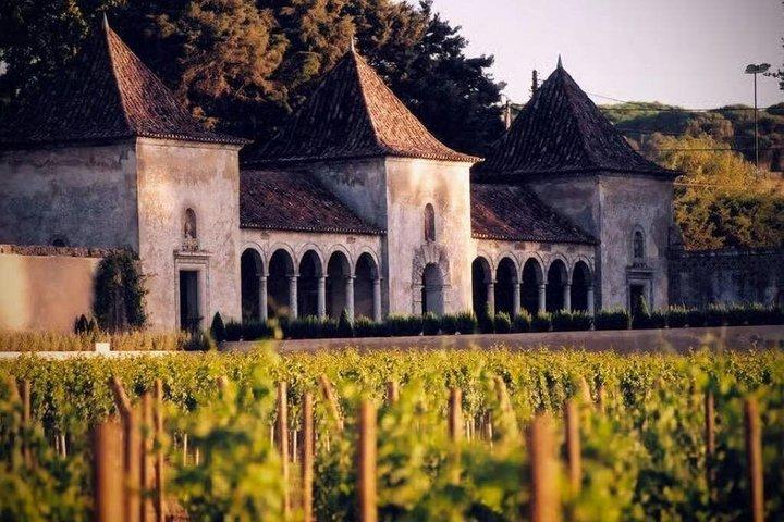 Montagnes d'Arrábida, vins de Sesimbra et Setúbal
