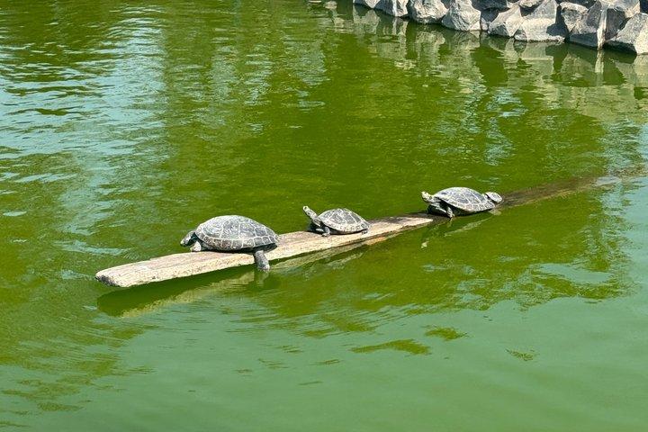 ミラフローレスとサン イシドロ ピラミッド: ワカ プクヤーナとオリバール パーク