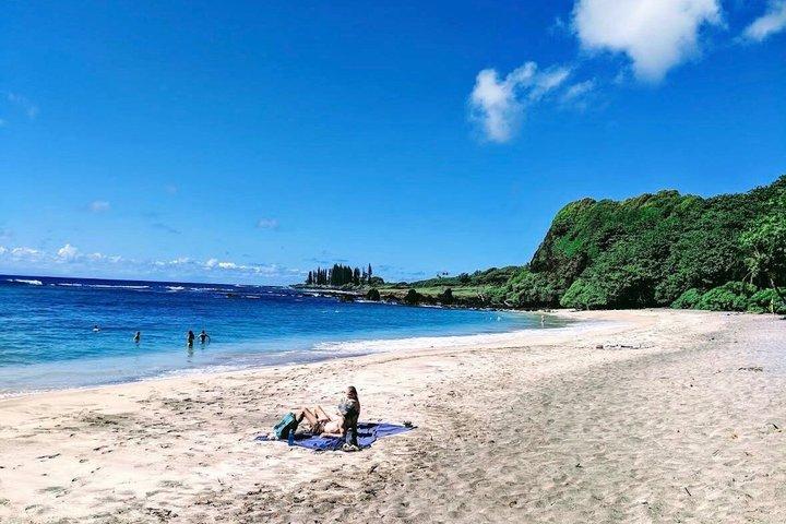 ハナへの私道（マウイ島）スペイン語および英語ガイド付き