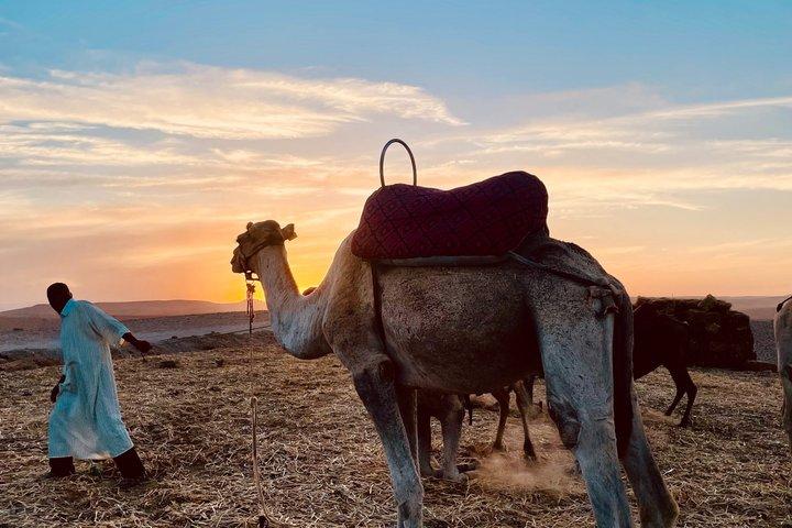 Agafay Desert Quad, Camel Ride & Dinner Show vanuit Marrakech