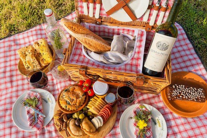 Picnic with Local Wines in Colonia