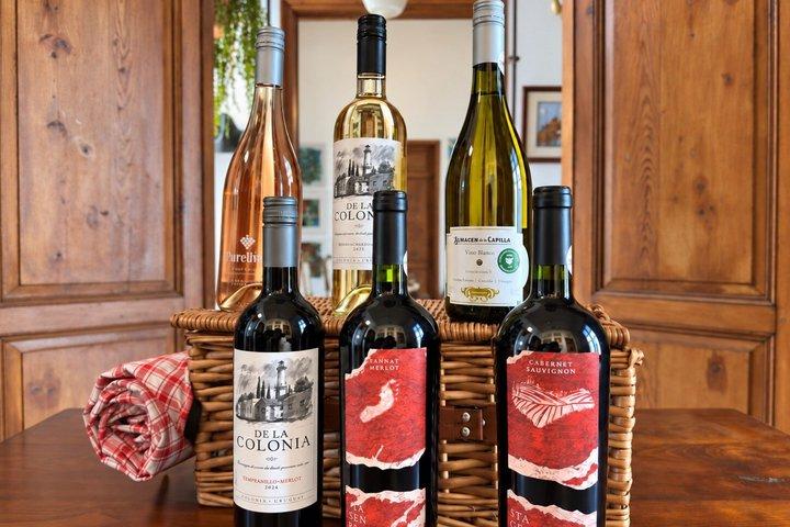 Picnic with Local Wines in Colonia