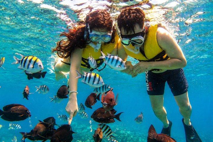 Tour di snorkeling alla Laguna Blu con trasferimento in hotel privato