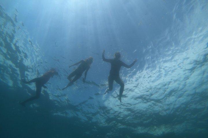 モアルボアル・サバナ・ペスカドール島＆カワサン滝ツアー