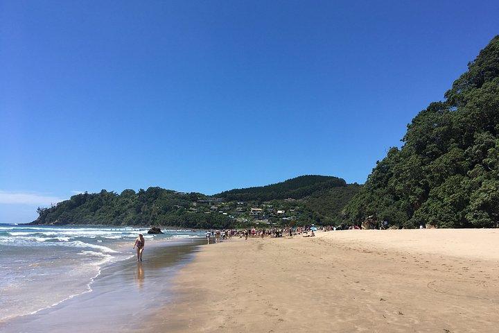 オークランド発プライベート・キャテドラルコーブ＆ホットウォータービーチ日帰り旅行