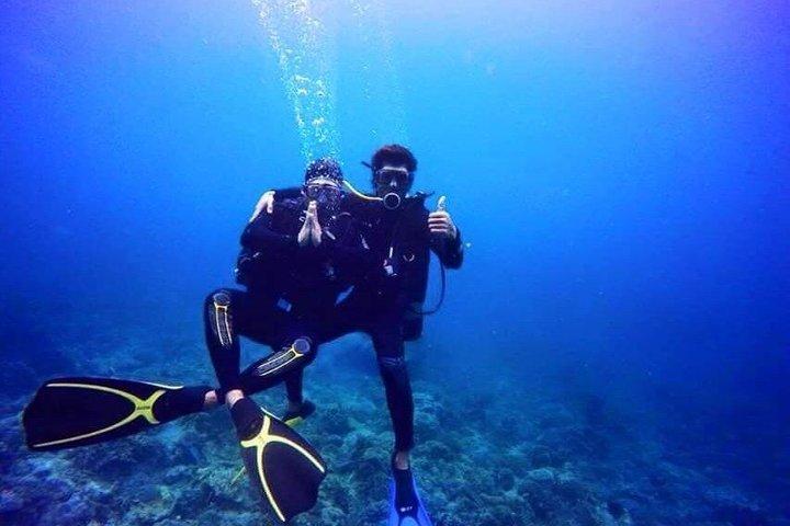 スキューバダイビングツアーでニャチャンのサンゴ礁を発見しよう