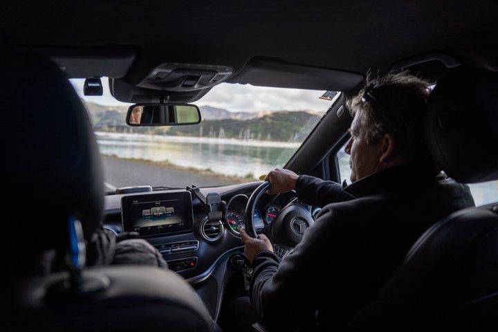 Akaroa Luxury Experience with Alpaca Farm and Dolphin Watching
