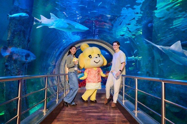 Entrada para o Melbourne Aquarium