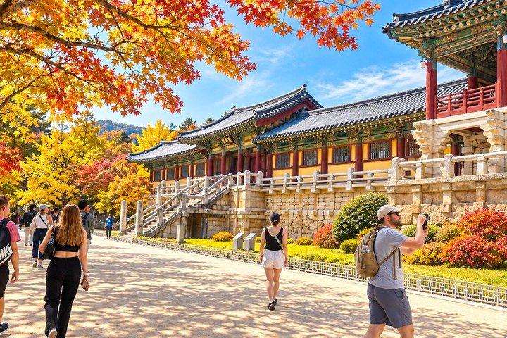 釜山から慶州ユネスコ本格ツアー