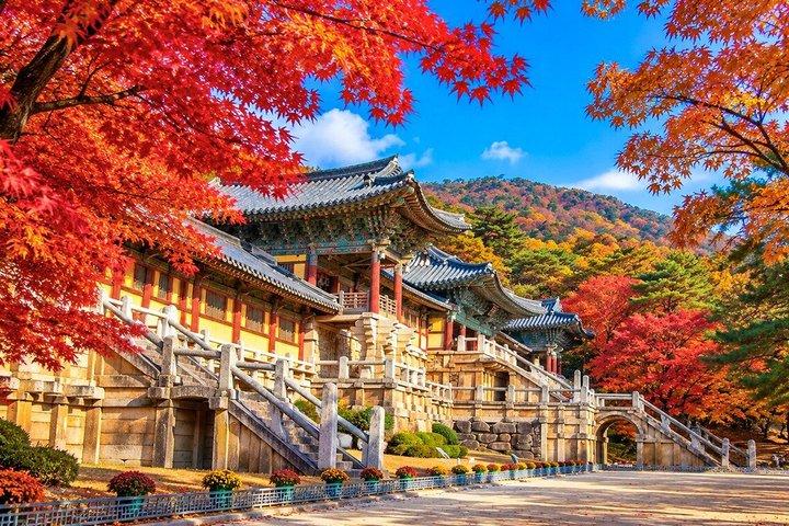 釜山から慶州ユネスコ本格ツアー