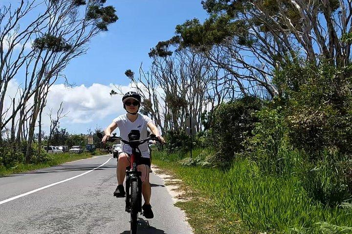 ヌーサ・ノースショアEバイクツアー(フェリー渡航付き)