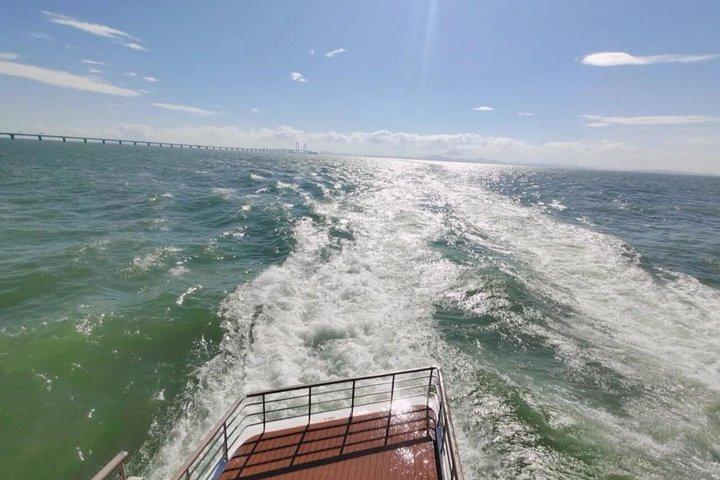 深圳プライベートクルーズツアー 香港珠海マカオ橋の眺め
