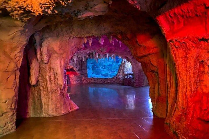 スルタンアフメト発シャトルバス付きイスタンブール水族館チケット
