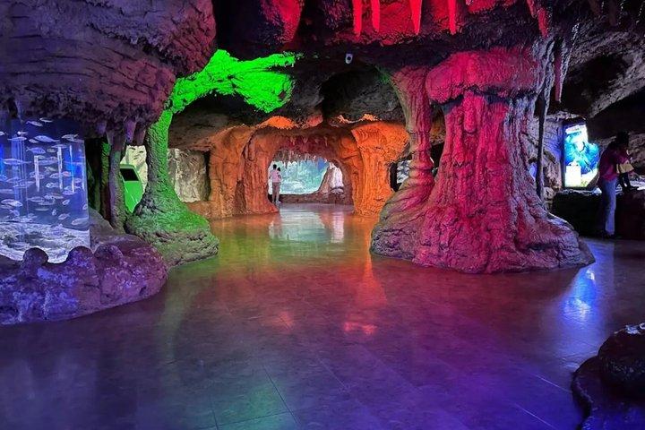 スルタンアフメト発シャトルバス付きイスタンブール水族館チケット