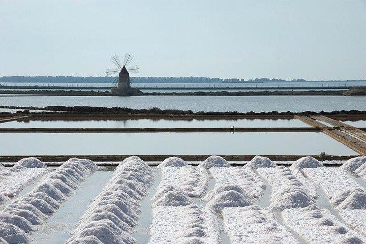 パレルモ発エリチェ、セジェスタ、トラパニ塩田プライベート ツアー