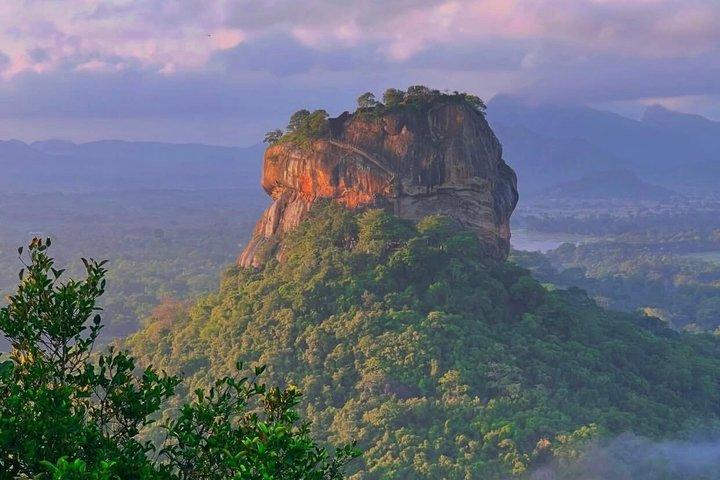 Full Day Trip to Sigiriya and Dambulla from Kandy