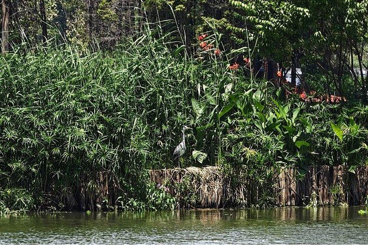 昆明滇池半日サイクリングツアー