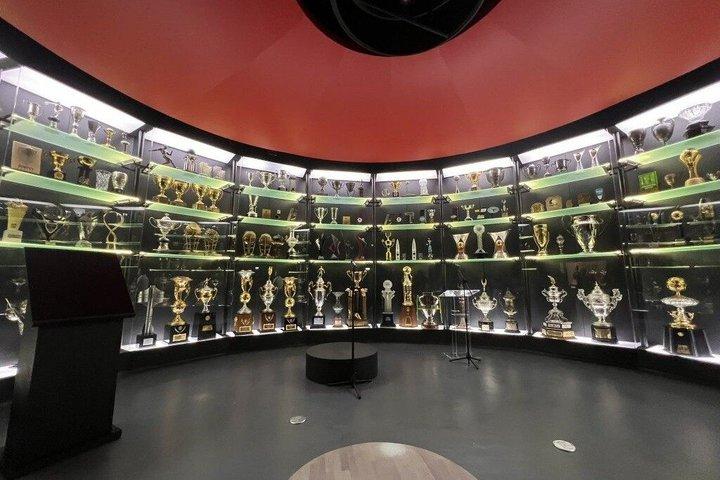 フラメンゴ サッカー スタジアムへの半日訪問とパノラマ ツアー