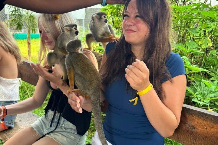 Monkey Sanctuary Experience in Puerto Plata Dominican Republic
