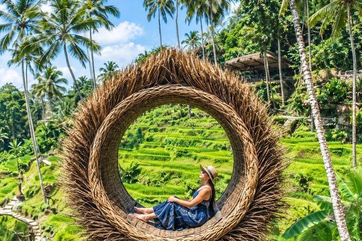 最高のアラス・アラム アドベンチャー スイング、ジップライン、スカイバイク ランチ付き