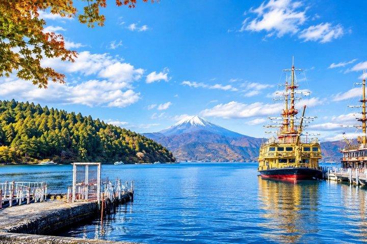 Hakone Private Highlights Tour von Tokio mit Auto und Fortgeschrittener