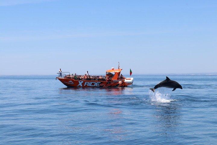 Vilamoura: Dolphins & Benagil Caves