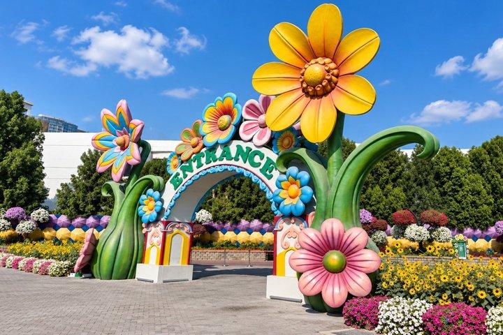 Dubai Miracle Garden and Global Village Visit with 3 Options