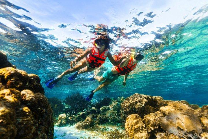 Reef Snorkling i nationalpark med Beach Club och lunch