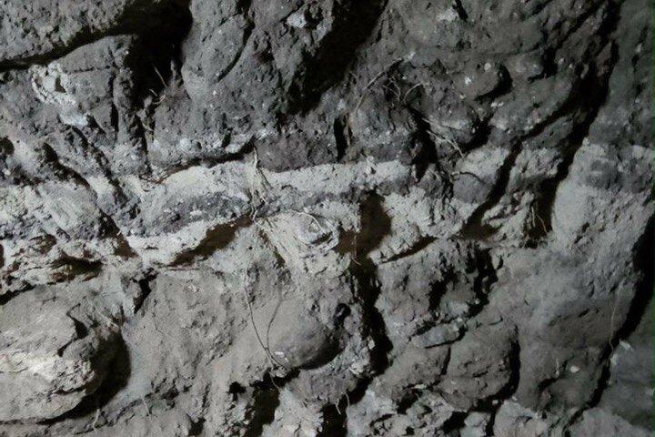 未知の古代遺物とエイリアン工芸品博物館ツアー