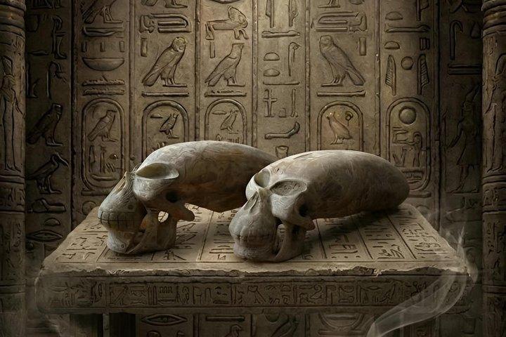 未知の古代遺物とエイリアン工芸品博物館ツアー